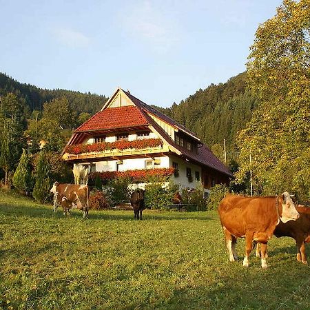 Unterer Gurethshof Appartement Zell am Harmersbach Buitenkant foto