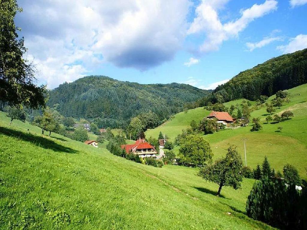 Unterer Gurethshof Appartement Zell am Harmersbach Buitenkant foto