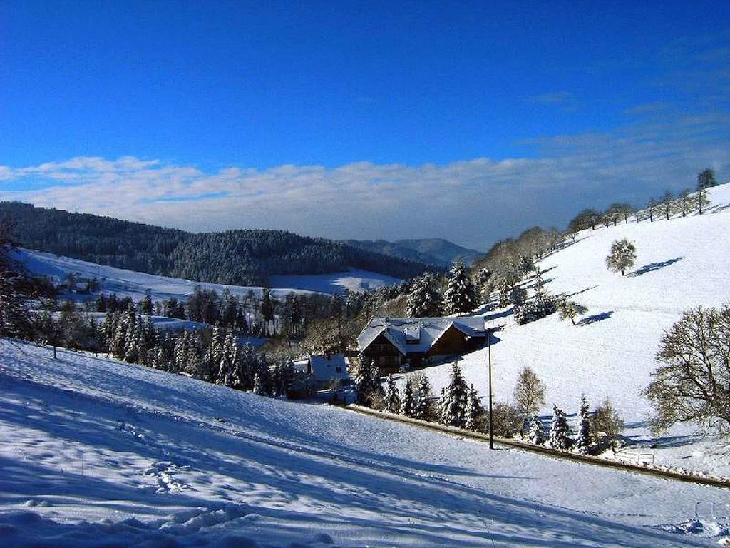 Unterer Gurethshof Appartement Zell am Harmersbach Buitenkant foto