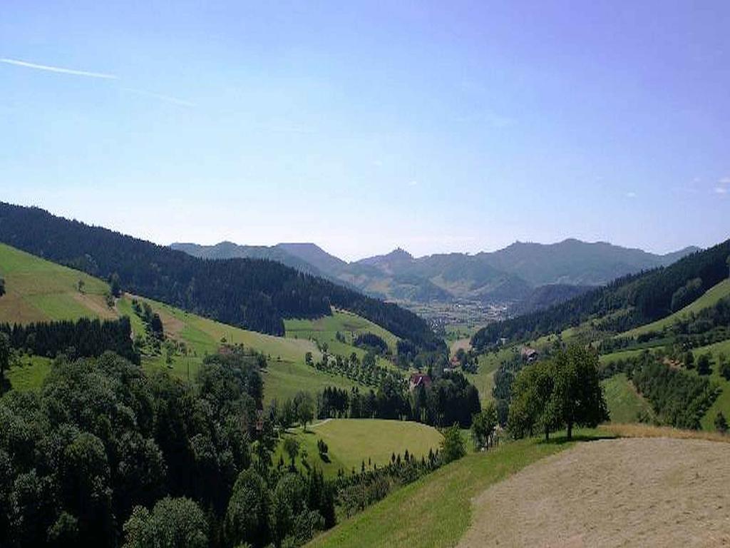 Unterer Gurethshof Appartement Zell am Harmersbach Buitenkant foto