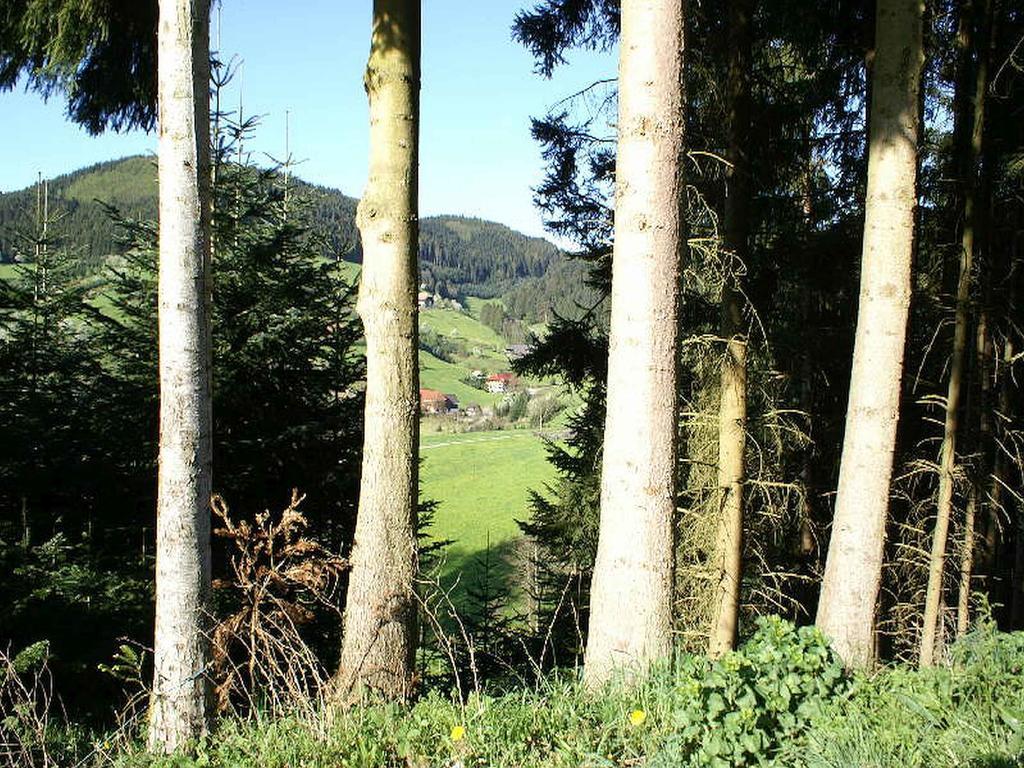 Unterer Gurethshof Appartement Zell am Harmersbach Buitenkant foto